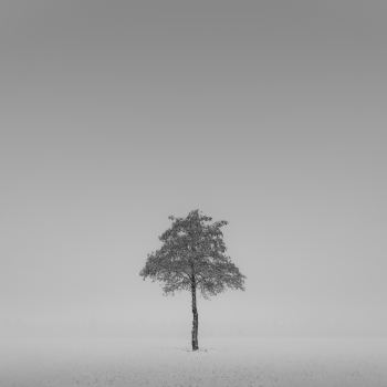 Blankness