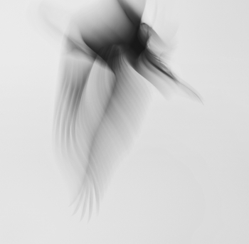 Embryonic Flight