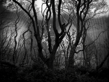 Giant spider