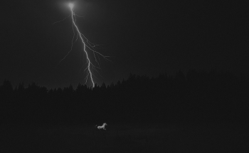 White Lightning