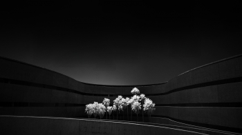 Faculty Of Fine Arts, Tenerife.
