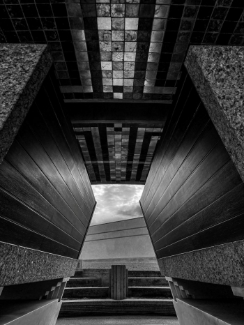 Between Matter and Memory