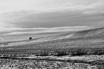 winter fields