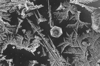 Frosty Trails