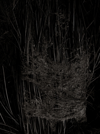 Weaving (2025, Worimi Country)