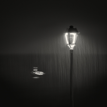 In the Rain 