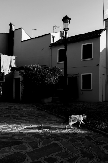 Burano noiseless