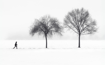 Winter Interval
