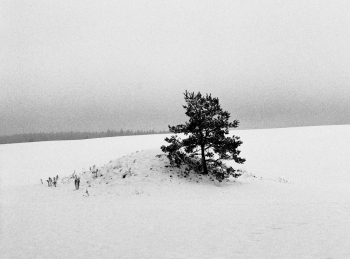 a fogy cold winter day