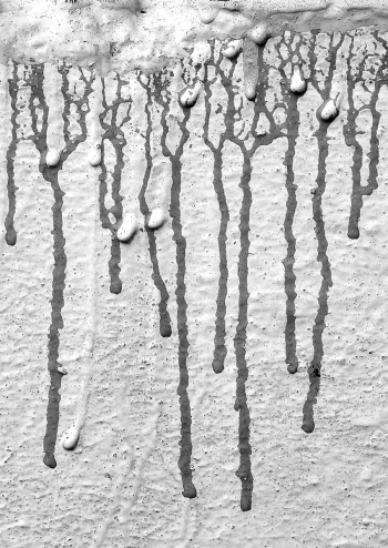 Bleeding walls