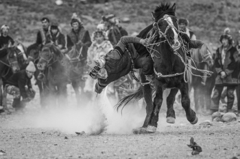 Perfect balance at full gallop