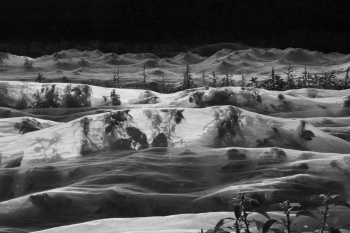 The Tarped Landscape