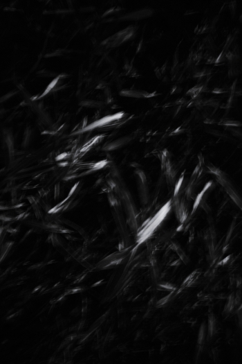 Resonance of Light