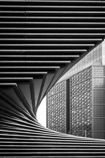 Rhythm and Form