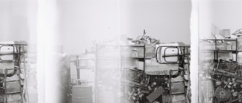 Fading Habitats and Memories