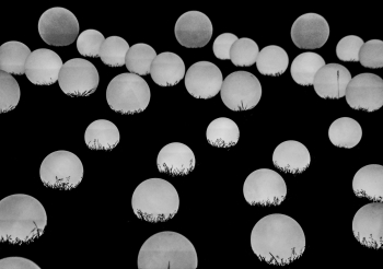 Moondrops