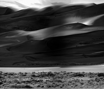 Whispers in the Wind
