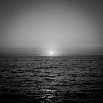 Shifting Landscapes