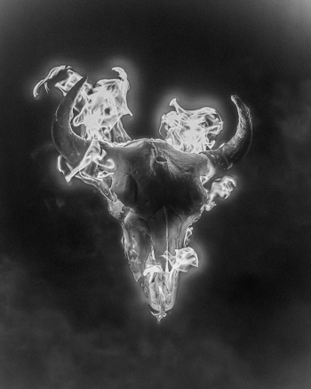 Fiery Bison Spirit