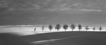 From shadow to light.