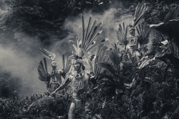 Guardians of the Hornbill