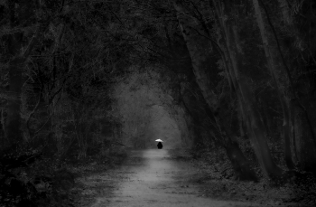 Carrying Light