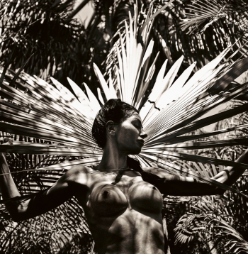 The Headwoman