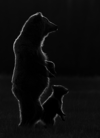 Standing Tall Together 