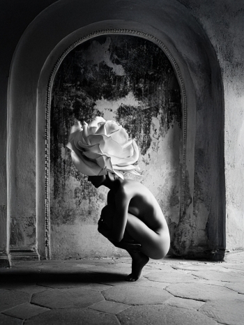 Veiled Identity II