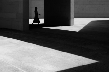 Into the Shadow