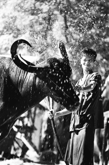 Of Water and Belief