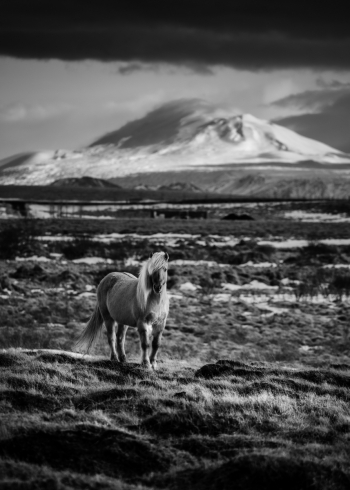 Symbols of Iceland