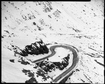 A Long Way Home